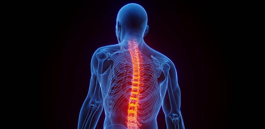 CiC Output: Tiny wraparound implants ‘represent new approach for spinal cord injuries’